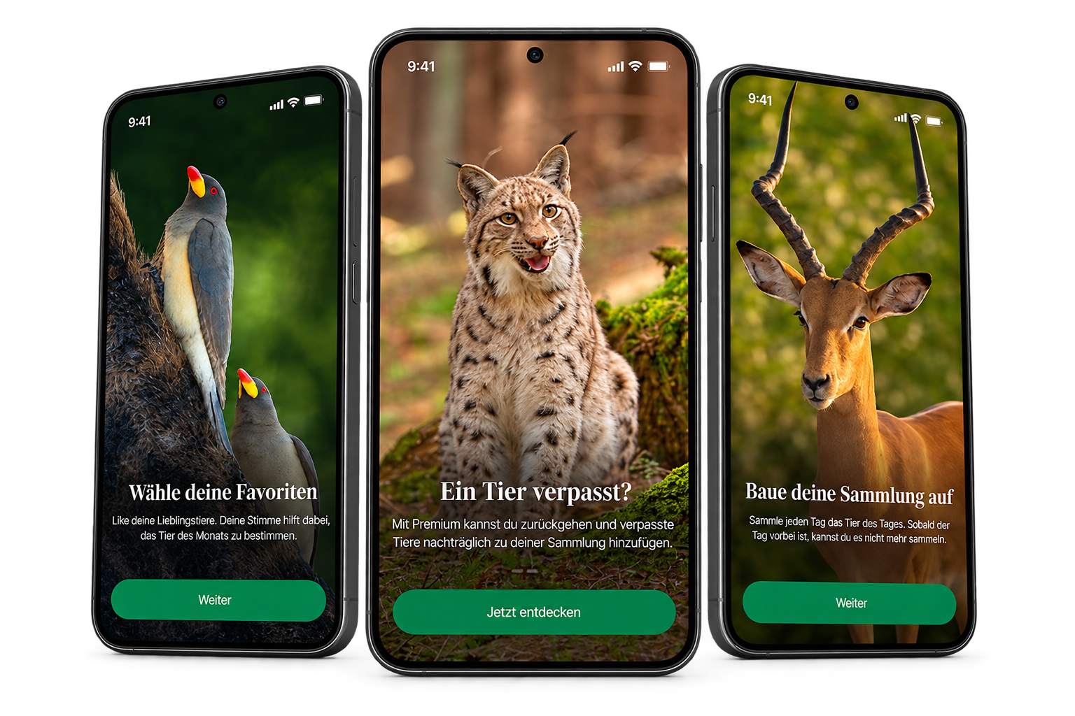 Drei Dailyanimal App-Screens